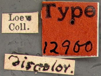 Media type: image;   Entomology 12900 Aspect: labels